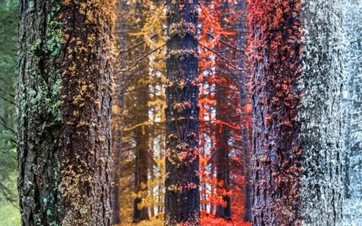 A More Flexible Way to Think About Retirement